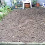 Rasen neu anlegen im Mini-Garten