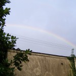 Regenbogen :-)