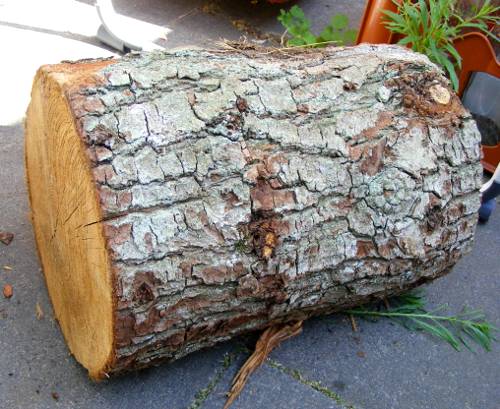 Hartholz aus dem ich demnächst Nisthilfen für Wildbienen basteln werde